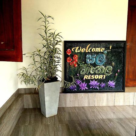 Salmanel Resort Ratnapura Exterior photo